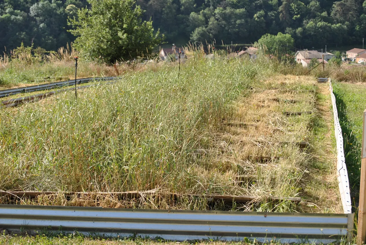 Parcs d'élevage en plein air à Massiac